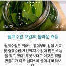 월계수잎의 효능 이미지