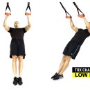 Suspended TRX - Low Row 이미지