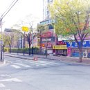 엄마친구꼬마김밥 이미지