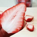 투베리농원 이미지
