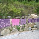 성산유치원 이미지