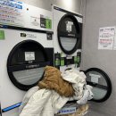 만능세탁빨래방 이미지