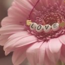 경동센터-11 이미지