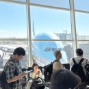 뉴욕 | 대한항공 뉴욕 탑승 후기 (KE081 / KE082 이코노미 기내식)