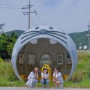 백령고등학교 이미지