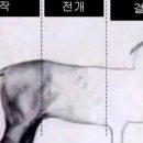 화목건설 | 조로사에 의한, 조로사를 위한 드라마 허아요안 : 내 빛을 허락해 후기