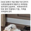 오늘도소보로 네이버블로그