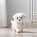 에르펫츠 강아지분양 고양이분양 다산점 이미지