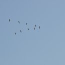 순천만 여행 이미지