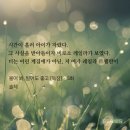 울어봐, 빌어도 좋고 (솔체) 과몰입 후기/ 재탕후기, 스포있음