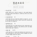 청춘브로우