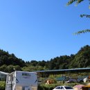 푸른 둥지 이미지