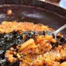 쌍용폐계닭 이미지