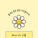 하바나뷰티