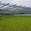 구축농장 이미지