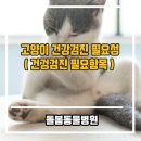 강한우리동물병원 이미지
