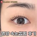 빈스브로우 | 운정속눈썹펌 후기 ‘빈스브로우’