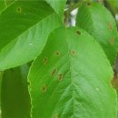 최성기농장 이미지