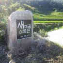 새미골정원 티스토리