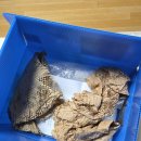 sw 멀티스토어 | [다 빌리다] 맥북에어 M4 13인치 20일 내돈내산 대여 후기