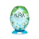 아우라 이미지