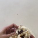 와펀커피 이미지