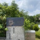 용인 처인구 카페 살롱굿루쓰, 정원이 예뻤던 후기