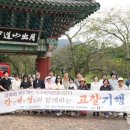 팜울림 네이버블로그