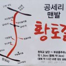 세경주유소 | 양평 공세리 황토길 맨발걷기 방문 후기 및 주차장 이용 안내