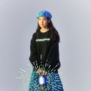 나이스케이스 이미지