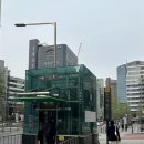 서울시청 비오는 날 덕수궁 데이트코스 베이킹 원데이클래스 - 슈가플라이