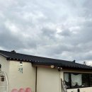 덕수농원 | 3일차) - 책방 소리소문, 스누즈, 제주상아감귤농원 천혜향 따기 체험, 유동커피, 제주 신라호텔 더...