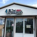 물고기세상 이미지