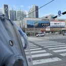 진접솔 동물병원 이미지