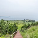 서쪽시선
