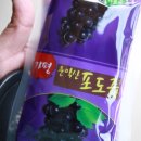 다리(DARI) 이미지