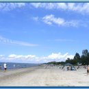 [Activity 2004...No.1] B.B.Q on the beach (Wasaga) 이미지