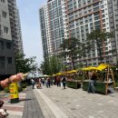 더샵명지퍼스트월드2단지경로당 | 명지 더샵 퍼스트월드 2단지 다정다감 페스타 후기｜단지 내 아파트 행사