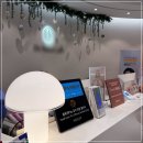 신논현역 6번출구 뒤 | 신논현역피부과 울쎄라피 효과 통증 다운타임 후기