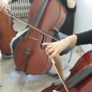 첼로(성인반) 이미지