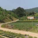 소초농장 이미지