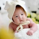 애기야 이미지