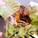 백민족발