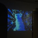 만텐 (만천) : 일본 이케부쿠로 선샤인시티 누워서 보는 밤하늘 &#34;猫星夜&#34; (고양이 별 밤) 후기