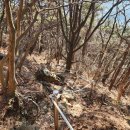 중앙역(바위) 이미지