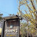 샐리제빵소 | 행주산성 베이커리카페 자전거타고 가기 좋은 라이딩 맛집 샐리제빵소