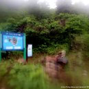 세포삼거리 이미지