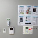 황금송 | 국립금산자연휴양림(207호 황금송)🏠| 내돈내산 후기 | 숲속의 집 | 산속의 집 | 힐링 | 자연 | 휴양림...