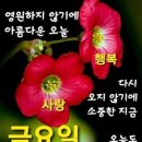 멋짐 Daum카페
