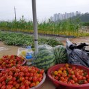 성부농장 이미지